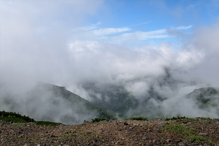 平山でナキウサギ*_b0281366_14133378.jpg