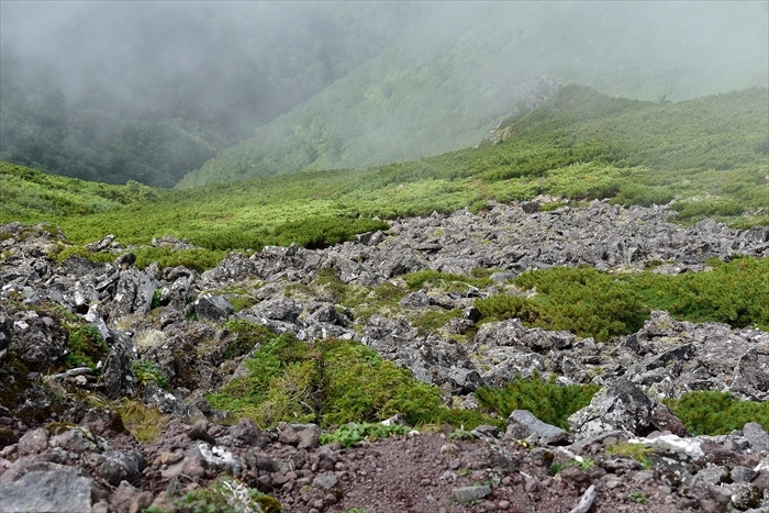 b0281366_14210290.jpg