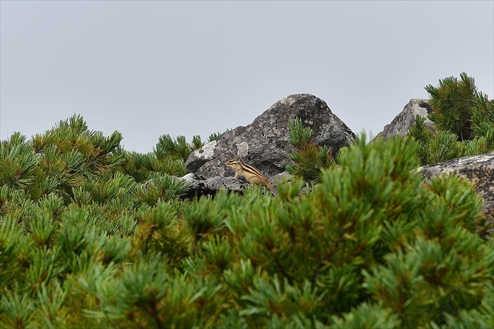 b0281366_14231905.jpg