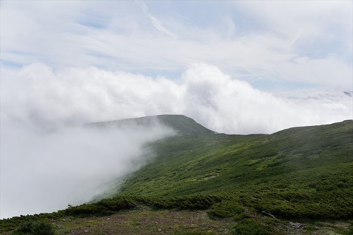 平山でナキウサギ*_b0281366_14241990.jpg