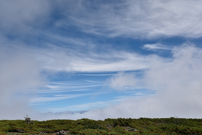 b0281366_14340530.jpg