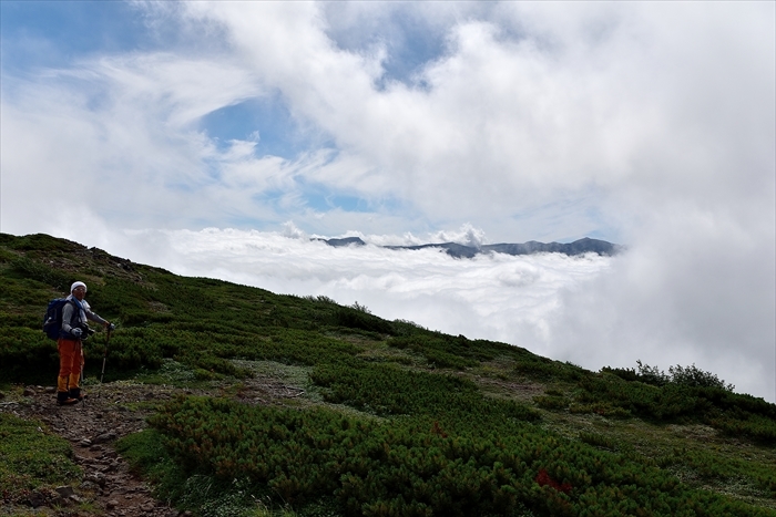 平山でナキウサギ*_b0281366_14342065.jpg