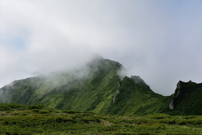 平山でナキウサギ*_b0281366_14405060.jpg