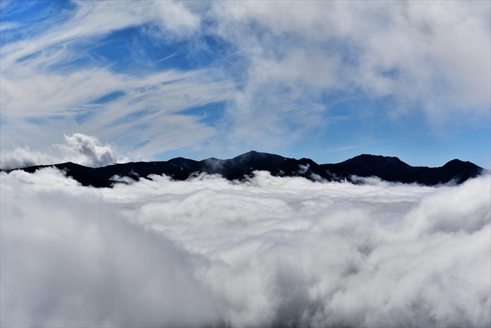 平山でナキウサギ*_b0281366_14423345.jpg