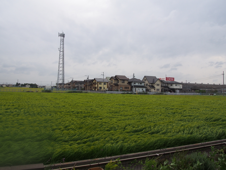 b0194267_16473430.jpg
