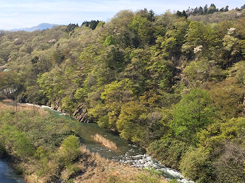 f0161874_082052.png