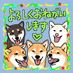 ラインスタンプ「柴犬ざんまい」_b0057675_11372095.jpg