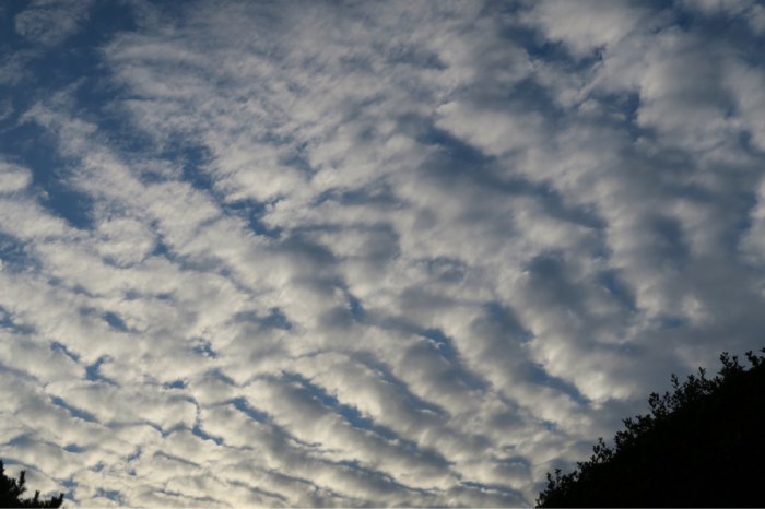 夏の雲_c0116778_13090405.jpg