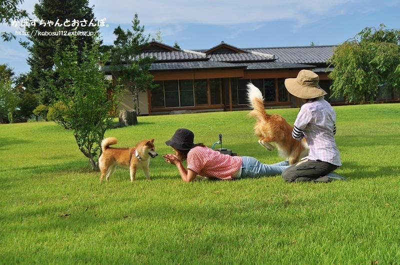安曇野っ子ノアちゃん③（戸隠2015）_a0126590_13285151.jpg