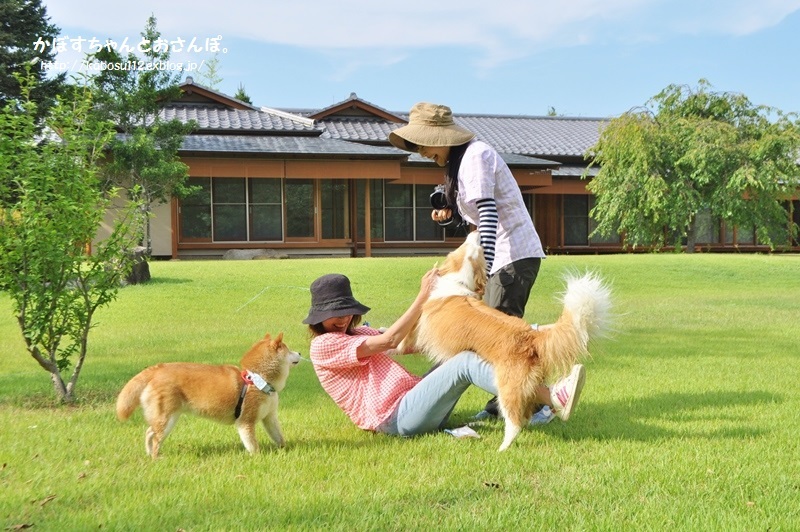安曇野っ子ノアちゃん③（戸隠2015）_a0126590_14174471.jpg