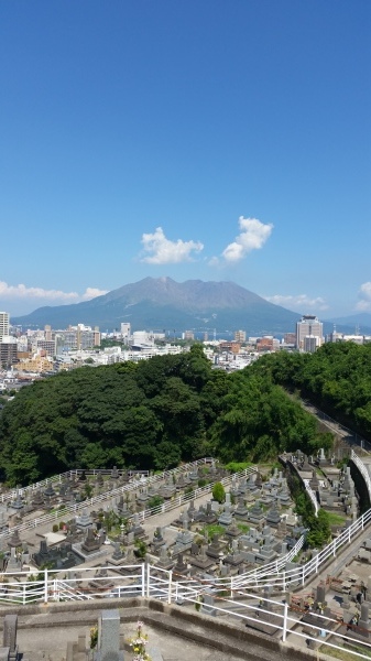 30数年ぶりの再会_e0253590_20372203.jpg