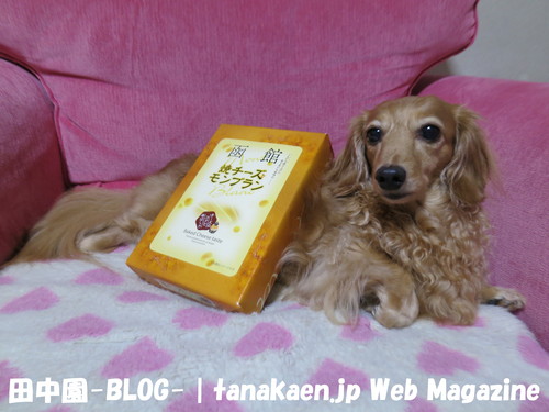 涼しくなったが雨が余計・・・_b0200291_21414582.jpg