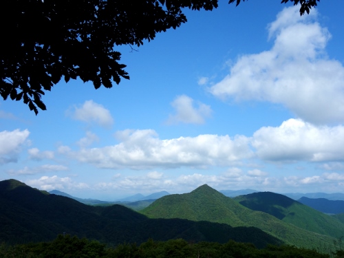 ひろしま県民の森_e0241391_21455360.jpg