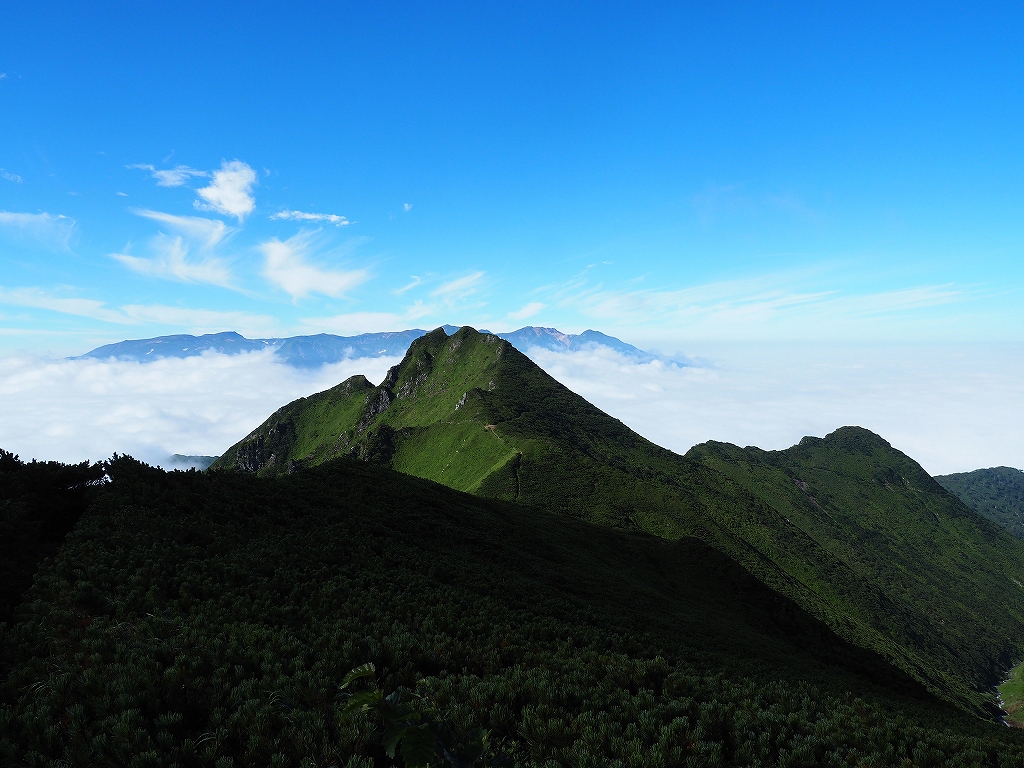 ニセイカウシュッペ山、8月23日－その1－_f0138096_16392146.jpg