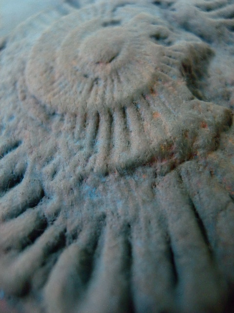 a0199297_09848.jpg