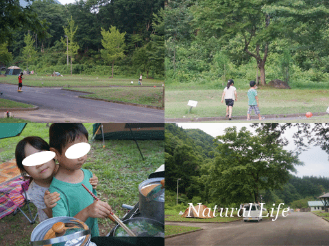 b0162000_7112436.gif