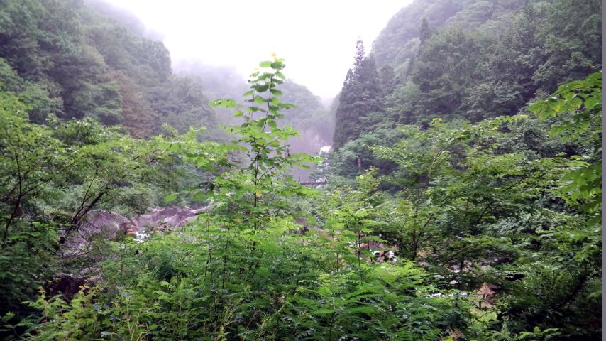 d0093903_21594.jpg