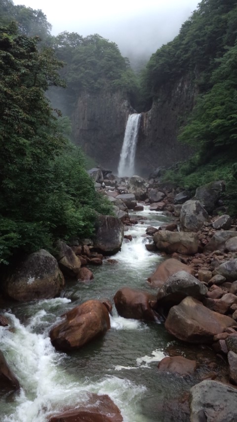 d0093903_23586.jpg