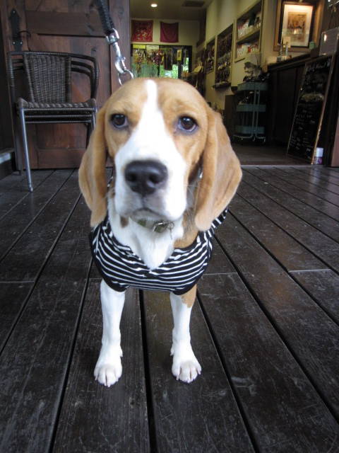 f0327308_09042700.jpg