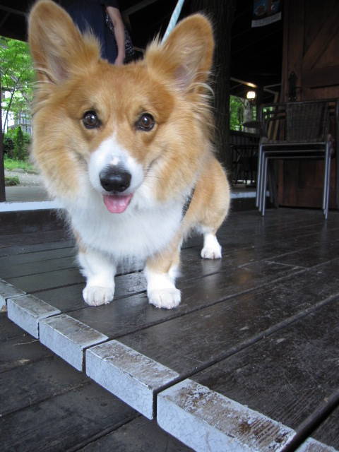 f0327308_09044401.jpg