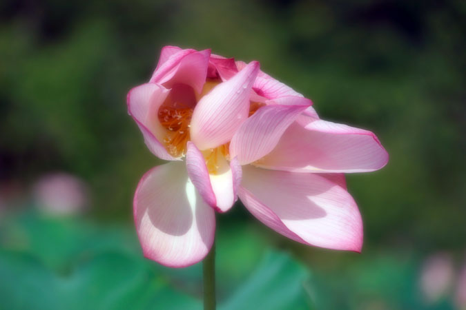 a0263109_21325118.jpg