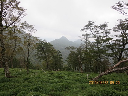 2015.8.22~23釈迦ヶ岳～楊枝の森（大峰奥駆け道）_a0048823_1457113.jpg