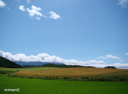 夏旅　　いくとら方面へ・・・・・_b0078623_7363968.png