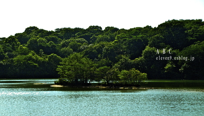篠栗九大の森_f0315034_13373905.jpg