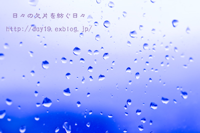 雨上がりに・・・_a0323742_14040791.jpg