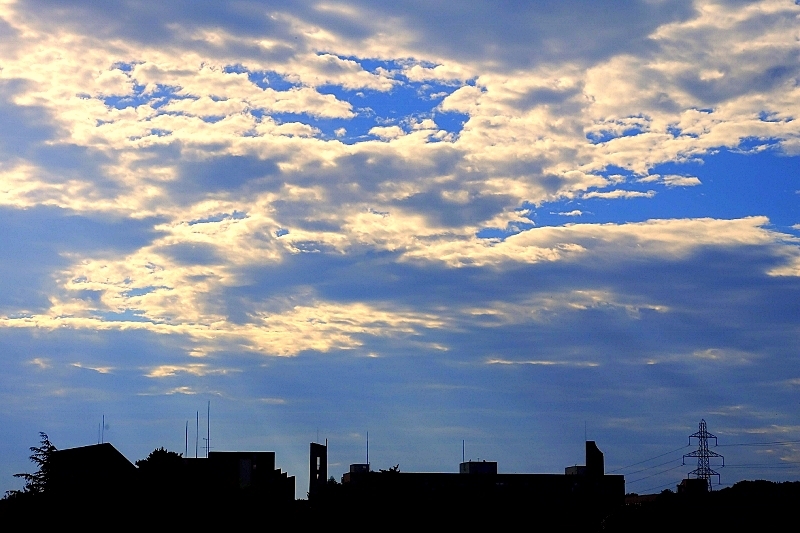 b0314043_09434453.jpg