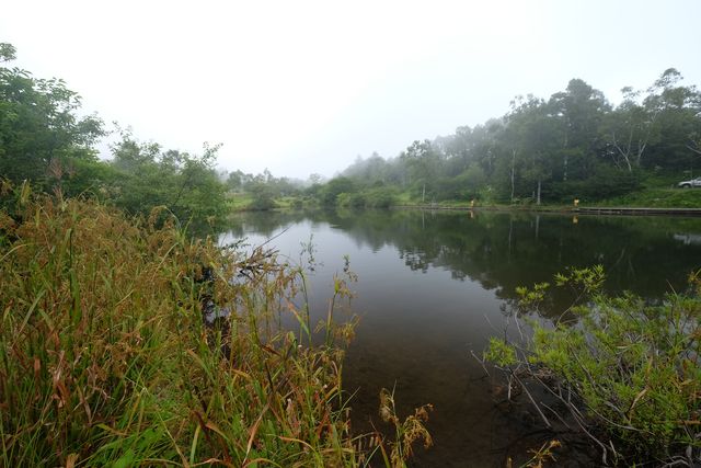 d0247247_23392297.jpg