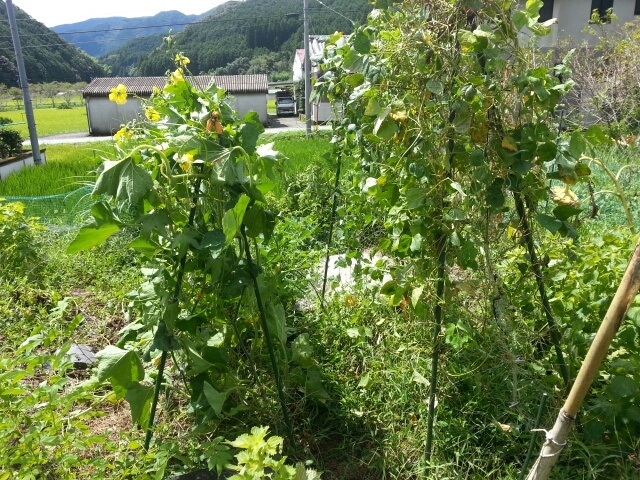 c0330749_15554044.jpg