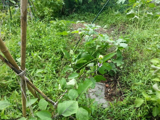 c0330749_15554358.jpg