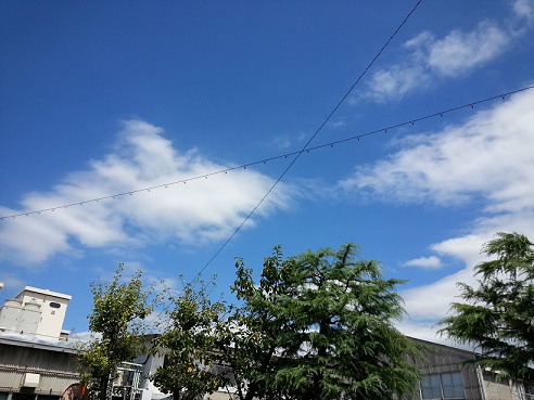 今週は 来客が多い..... (汗)_b0138552_20204.jpg