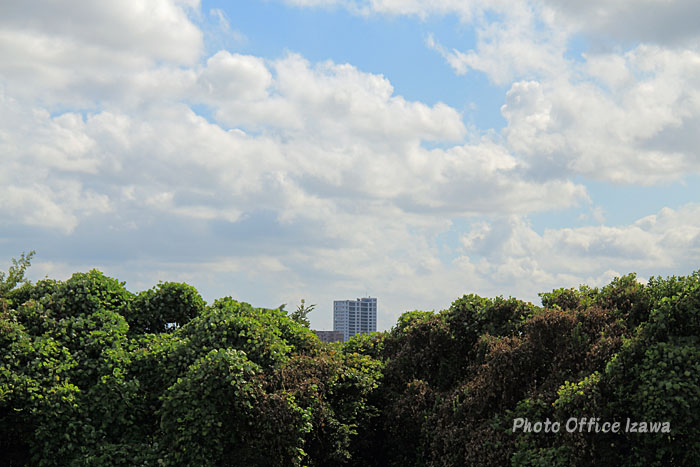 c0181958_17555.jpg