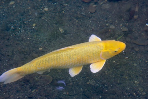 a0248459_16200345.jpg