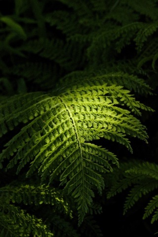 a0248459_16235848.jpg