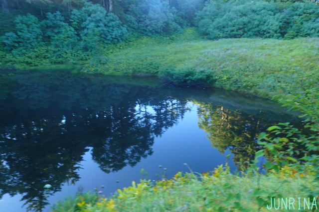 d0110562_19190928.jpg