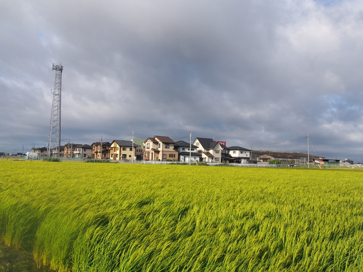 b0194267_174261.jpg