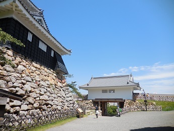 浜松城_e0033570_20180245.jpg