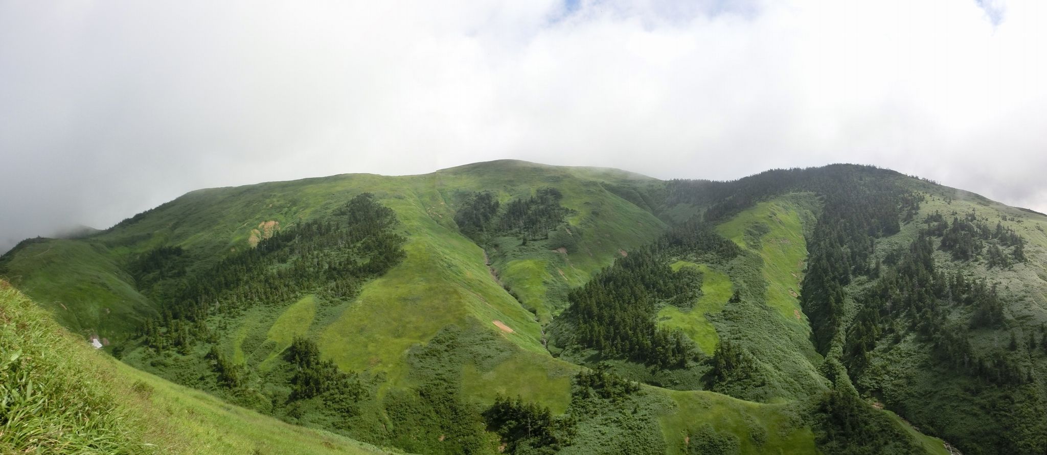 b0185573_17362971.jpg