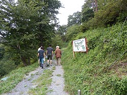 a0208976_1642182.jpg