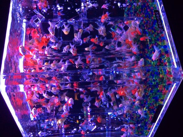 f0193680_12511069.jpg
