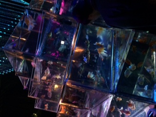 f0193680_12545174.jpg