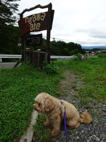 アヒル>ちひフィリー_e0222588_16044619.jpg