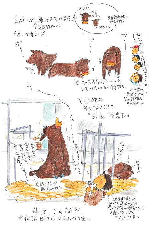 論よりこよし_f0236291_12403894.gif
