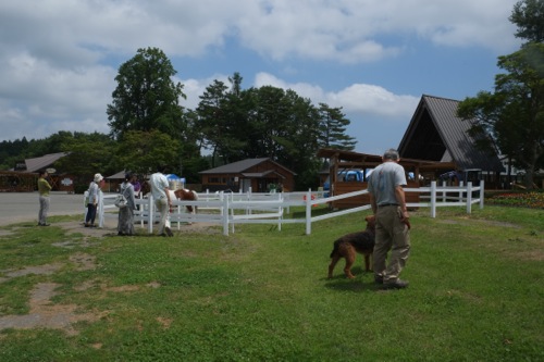 ワンと行く東北の寺社と温泉巡り、その5、小岩井農場_a0218499_23571392.jpg