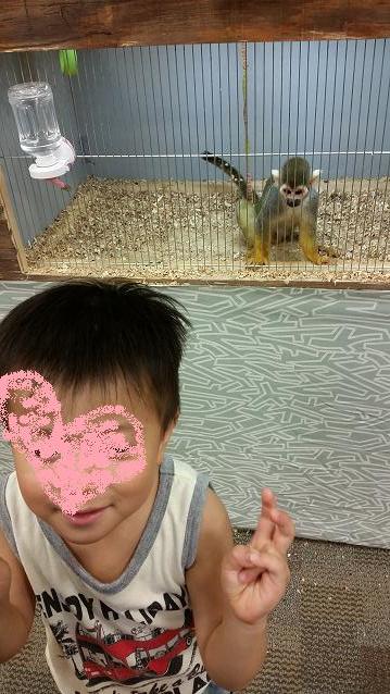 夏休みお出かけ第2弾(松浦)_f0354314_21413535.jpg