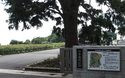 b0055215_21495236.jpg