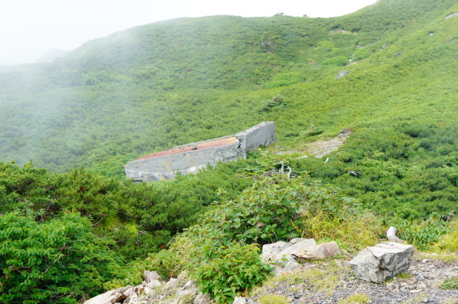 b0291820_11300129.jpg